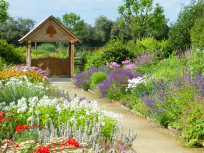 Cặp vợ chồng biến mảnh đất khô cằn thành vườn hoa vạn người mê sau 20 năm