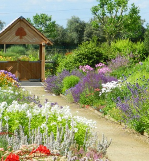 Cặp vợ chồng biến mảnh đất khô cằn thành vườn hoa vạn người mê sau 20 năm